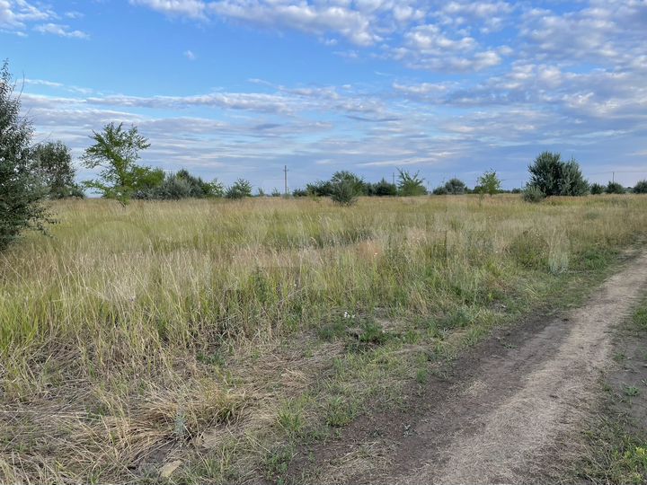 Участок 20 сот. (ИЖС)