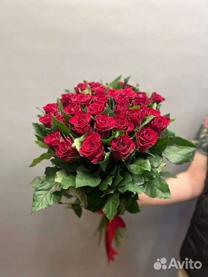 Свежая Голландская роза от склада