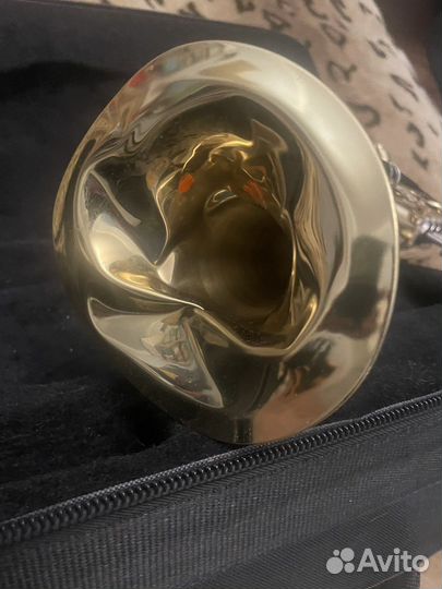 Труба Roy Benson