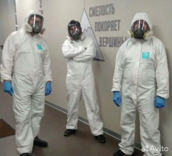 Уничтожение тараканов, травить клопов. Дезинфекция