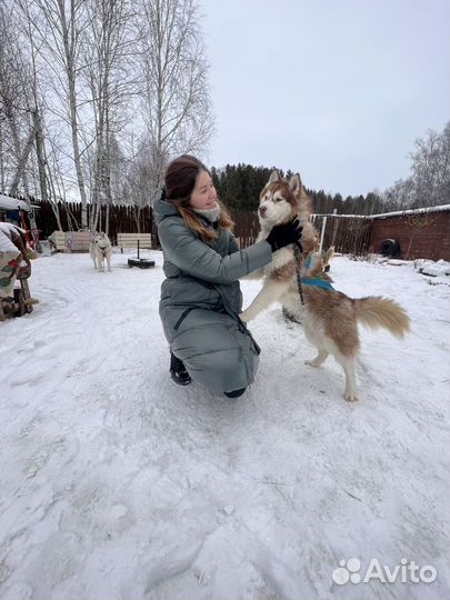 Пуховик женский 48