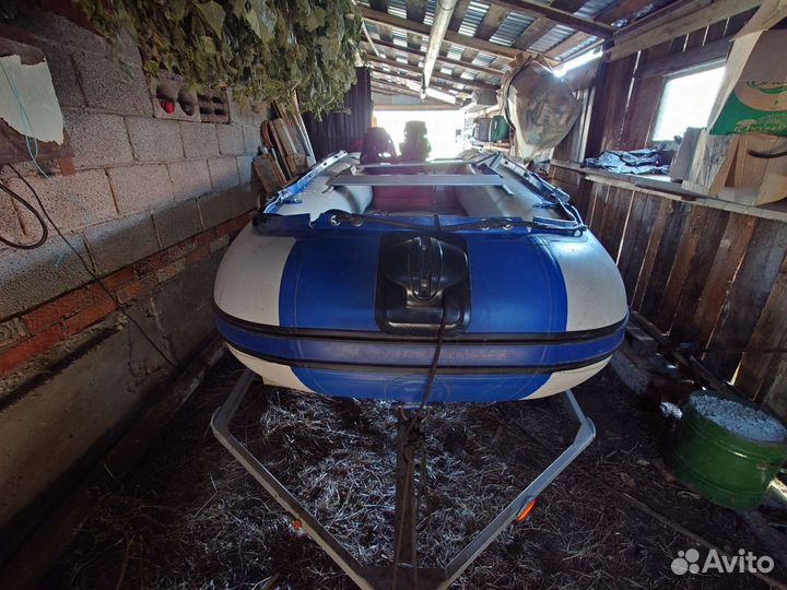 Моторная лодка с прицепом