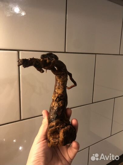 Коряга в аквариум