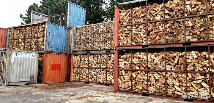 Береза на выбор