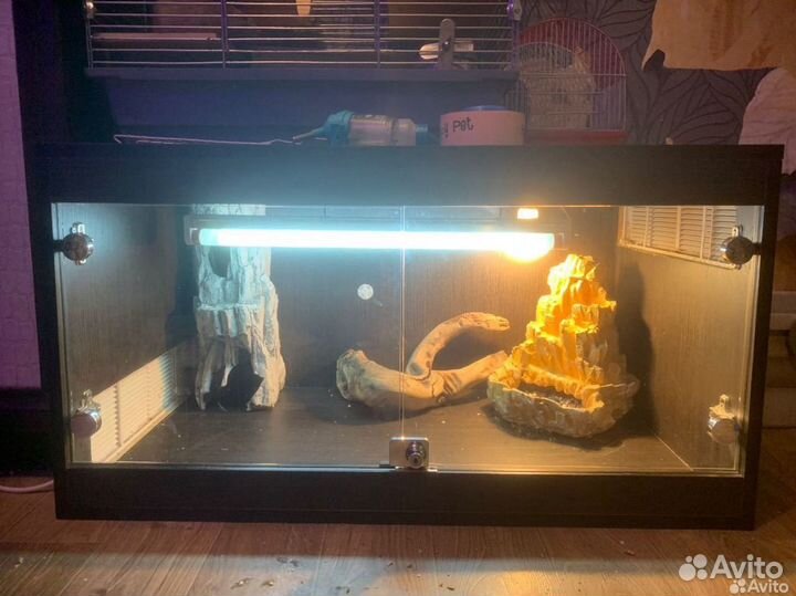 Террариум для рептилий