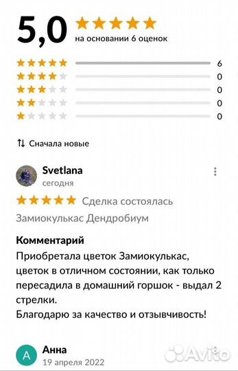 Комнатные цветы