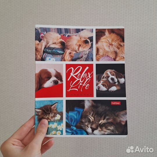 Тетради школьные 24 листа (18шт)