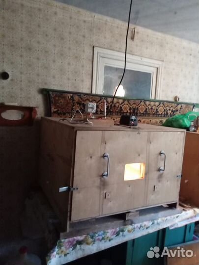 Инкубатор для яиц