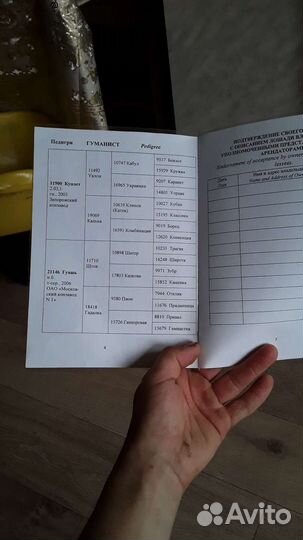 Орловский жеребец