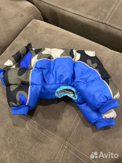 Одежда для собак