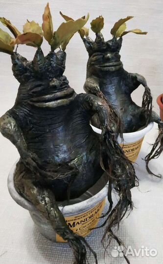 Сувенир-обрег Мандрагора