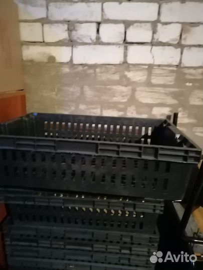 Продаются пластиковые ящики из под продуктов бу