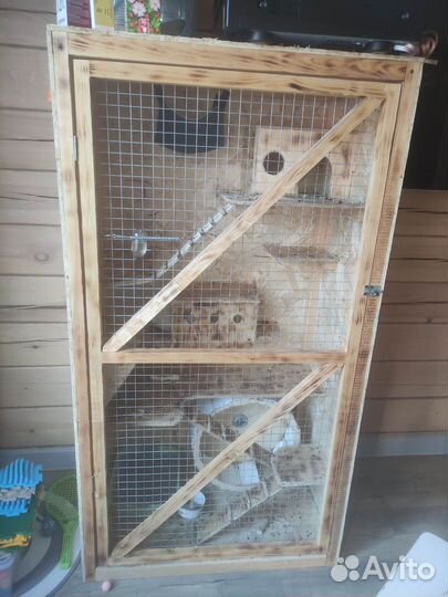 Шиншилла, клетка для шиншиллы