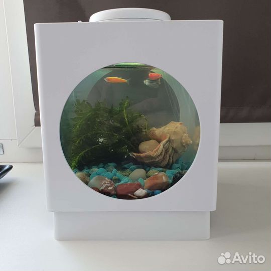 Аквариум