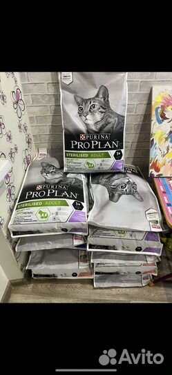 Корм для кошек проплан, 10 кг. Пурина Проплан