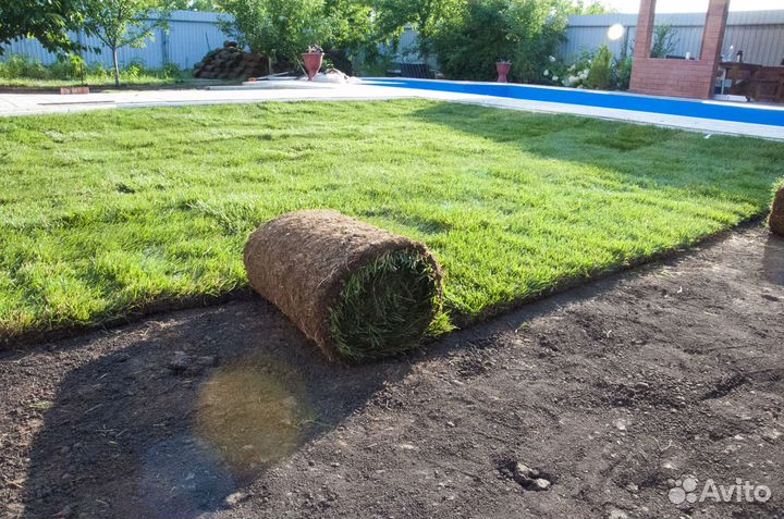 Рулонный газон под ключ