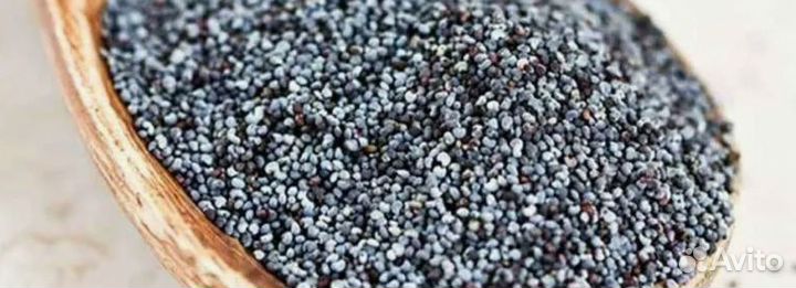 Мак кондитерский