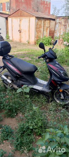 Stels tactic 50