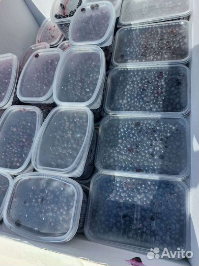 Принимаю заказы на чернику