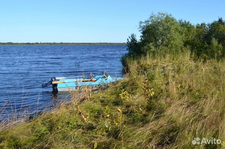Моторная лодка