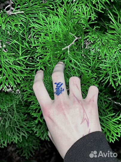 Тату / Тату за расходники / Модель