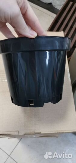 Контейнеры для рассады