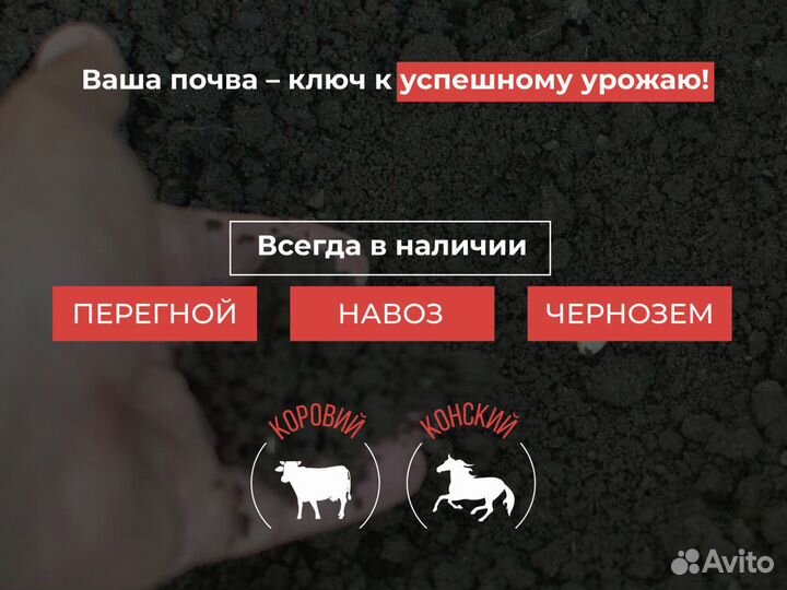Перегной