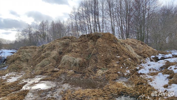 Конский навоз бесплатно