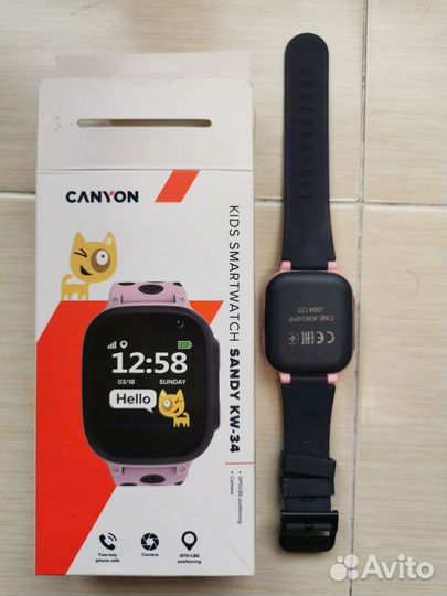 Смарт-часы Canyon Sandy