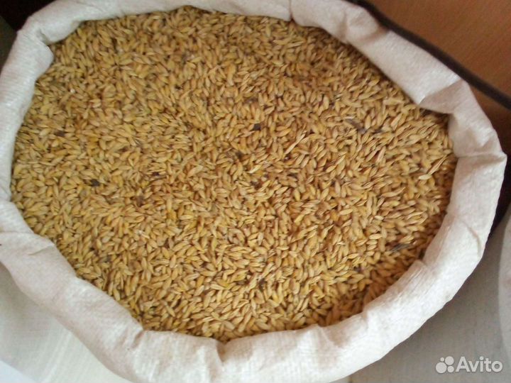 Кукуруза дробленая