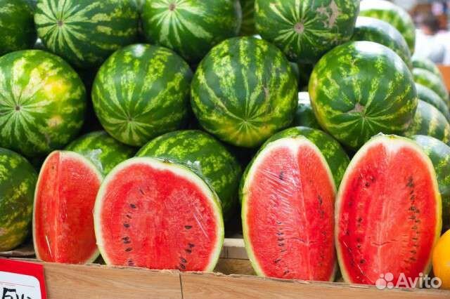 Арбуз. Дыня торпеда. Фрукты. Есть доставка