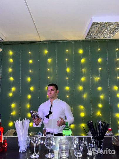 Бармен шоу на выезд