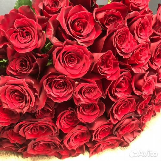 Доставка 46-10-00. 51 красная премиум роза в ленту
