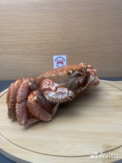 Краб волосатик для горячего