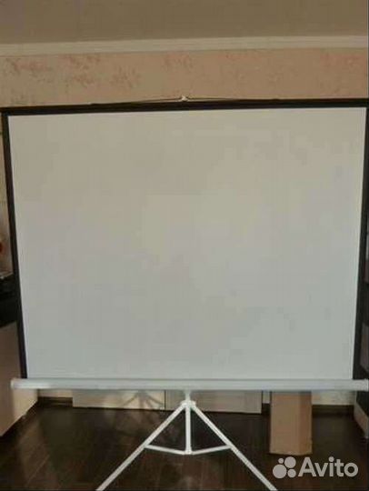 Проектор и экран в аренду