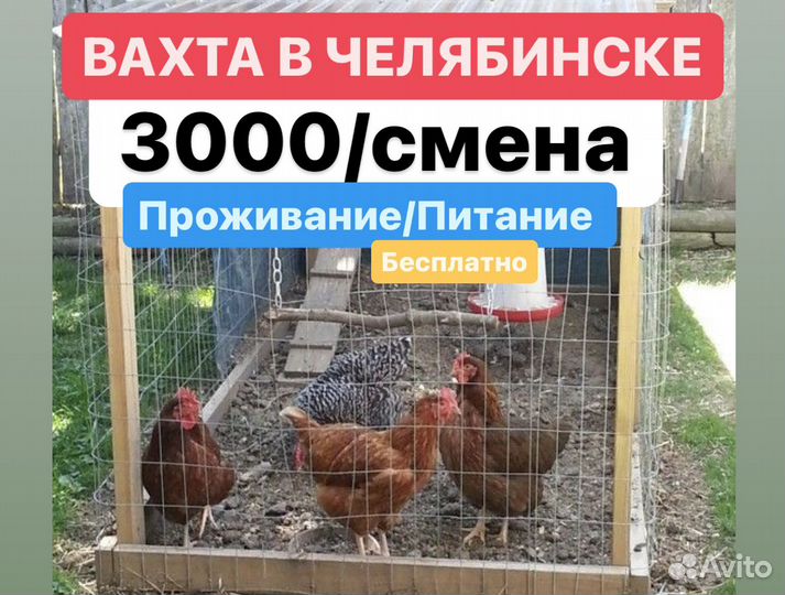 Высокая оплата труда вахта грузчик