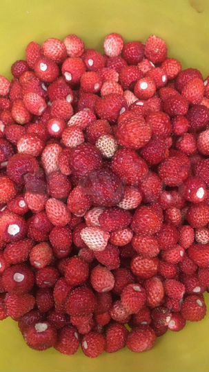 Дача 60 м² на участке 12 сот.