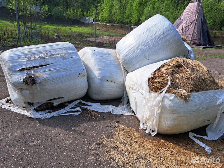 Сенаж в рулонах