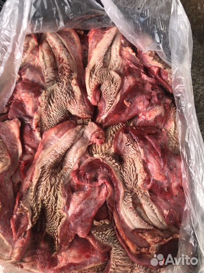 Рубец говяжий, легкое, субпродукты, обрезь, трахея