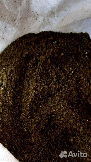 Семена крапивы и репейника