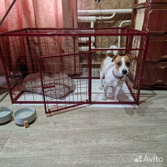 Клетка для собак средних и мелких пород
