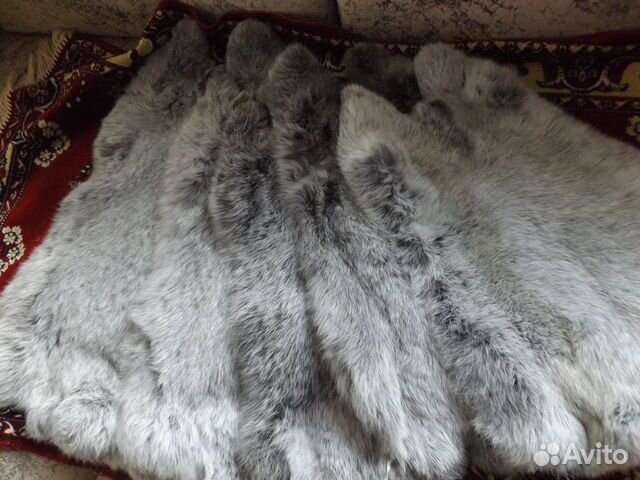 Шкурки кролика большое светлое серебро