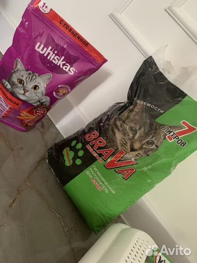 Лоток для кошек большой