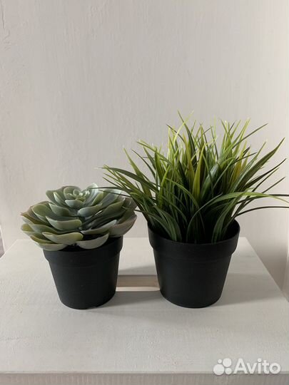 Фейка IKEA искусственное растение