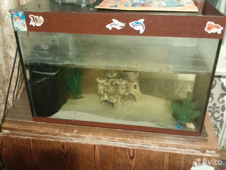 Аквариум