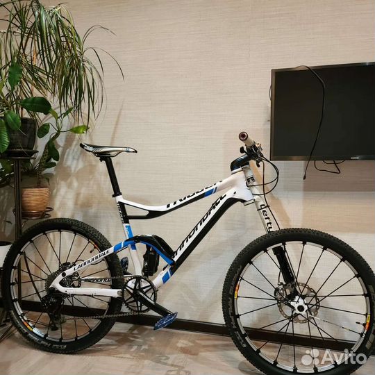 Cannondale trigger carbon