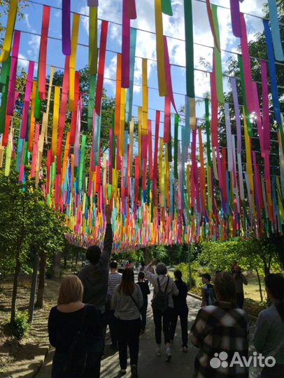 Путешествие на цветение лотосов