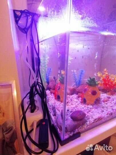 Аквариум с рыбками