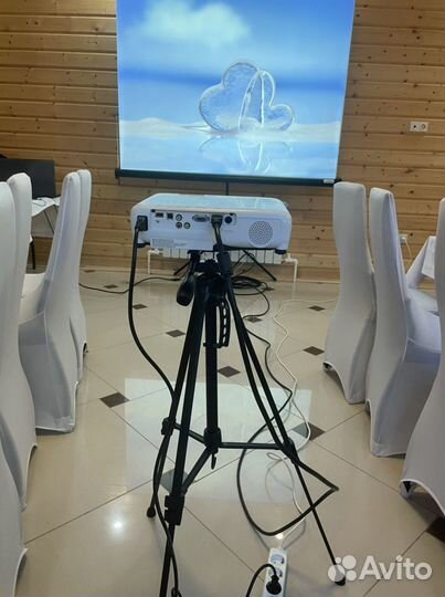 Проектор аренда + Экран