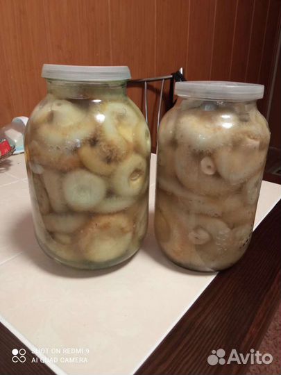 Грибы грузди соленые